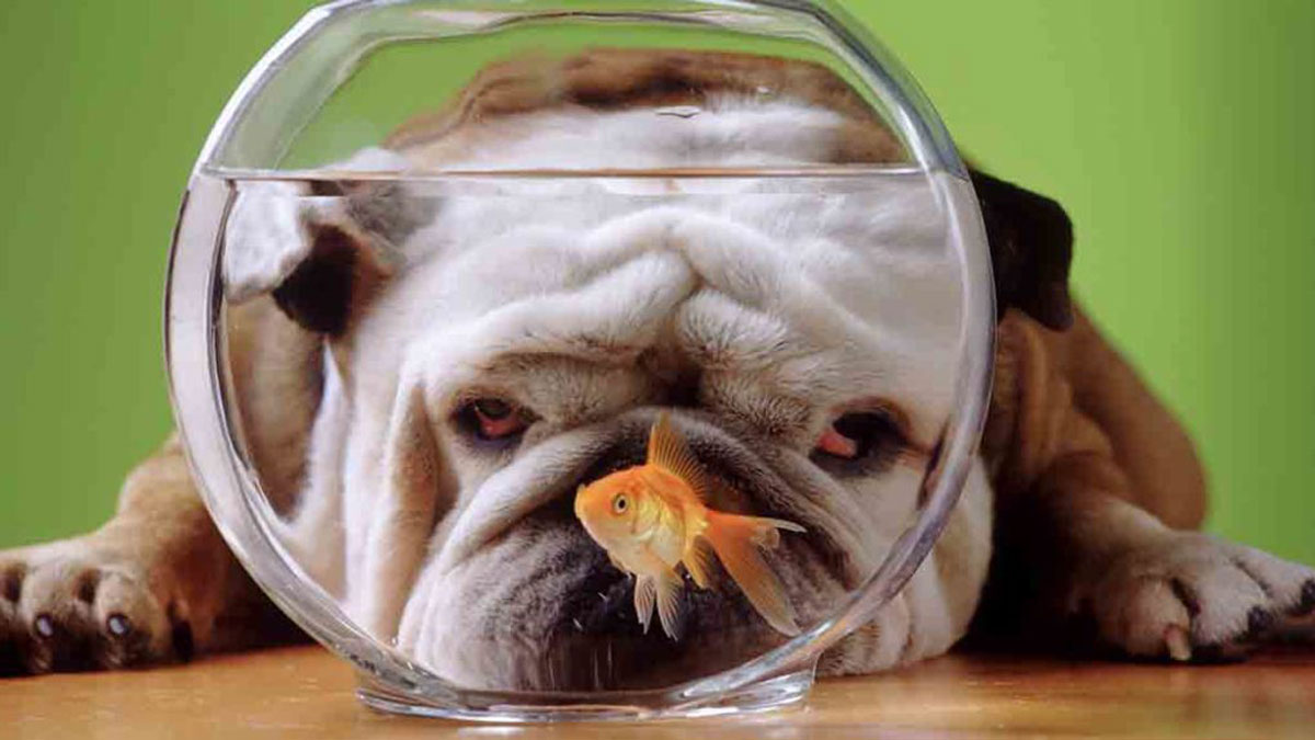 與工作不投入同事共事的四不三要