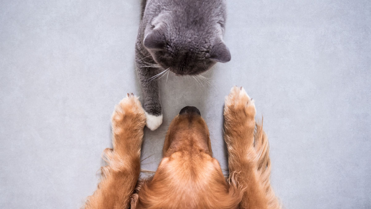 六大方法助你說服協作伙伴