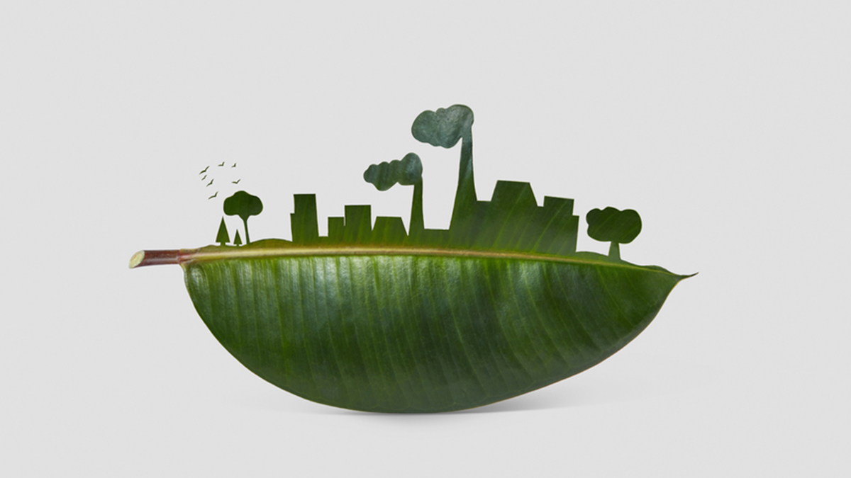 公司最大的負債，是「碳」？