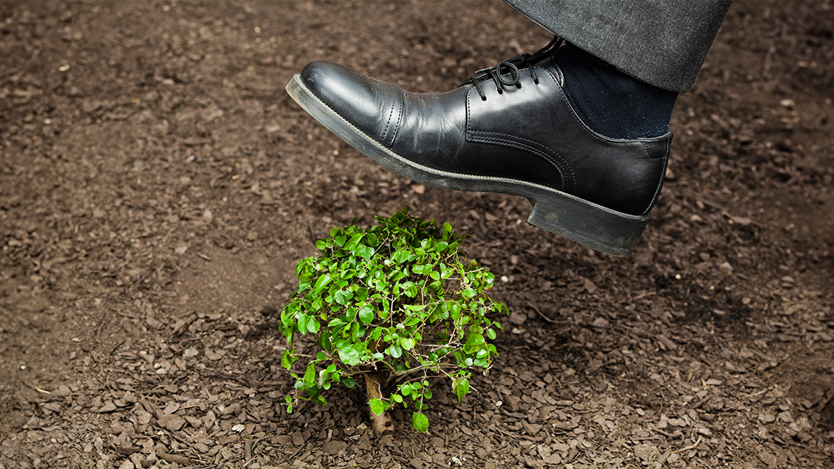 ESG概念遭受質疑，該如何應對四種批評聲浪？