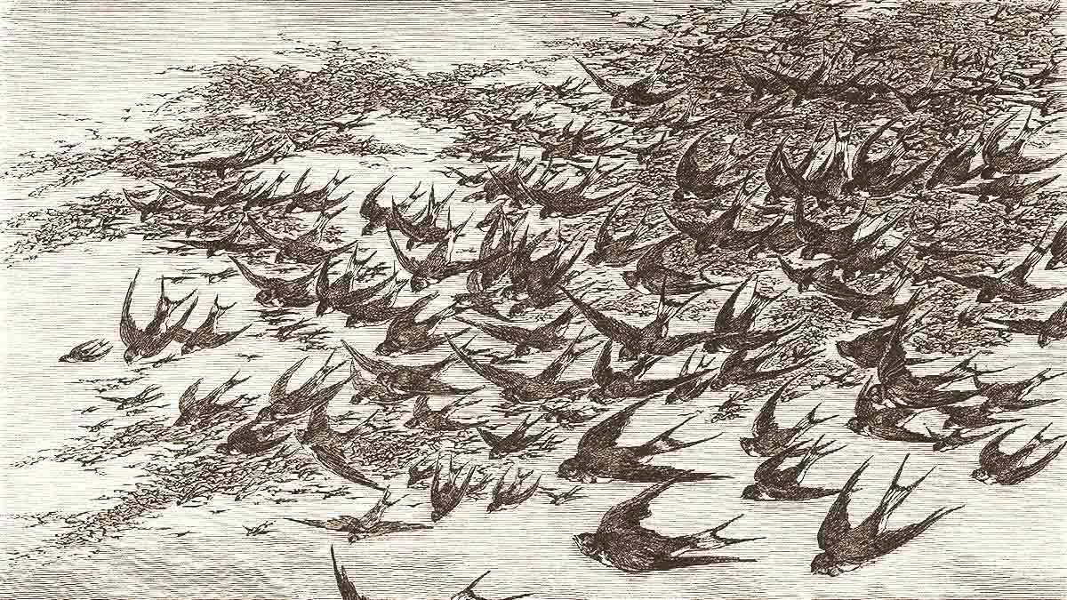 銀行如何對抗金融科技新創企業