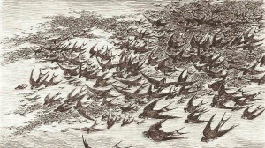 銀行如何對抗金融科技新創企業