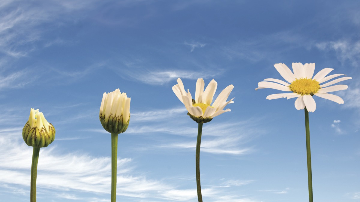 找出下一個成長動能