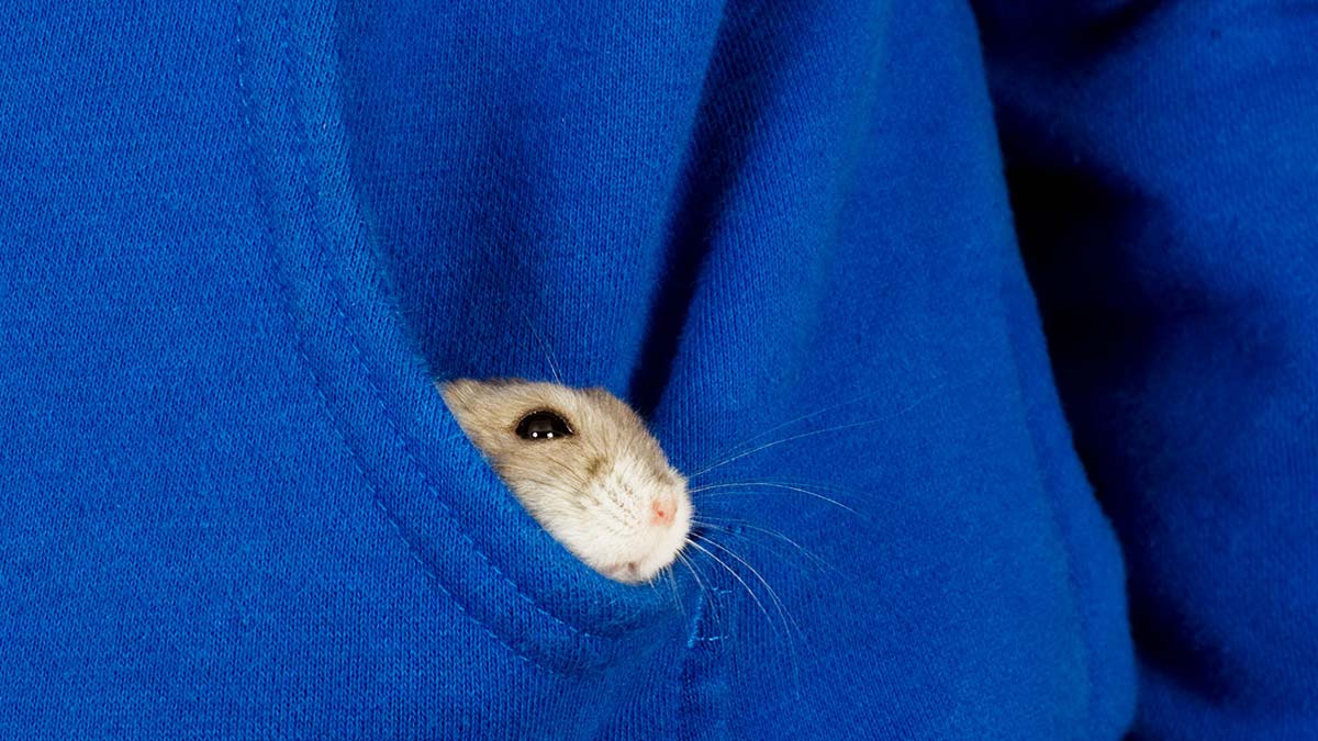 到最不可能的部門，找最佳人選