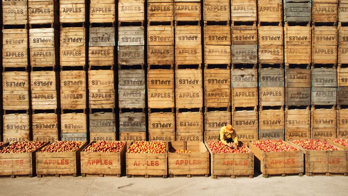 最有生產力的人，不見得是最佳主管