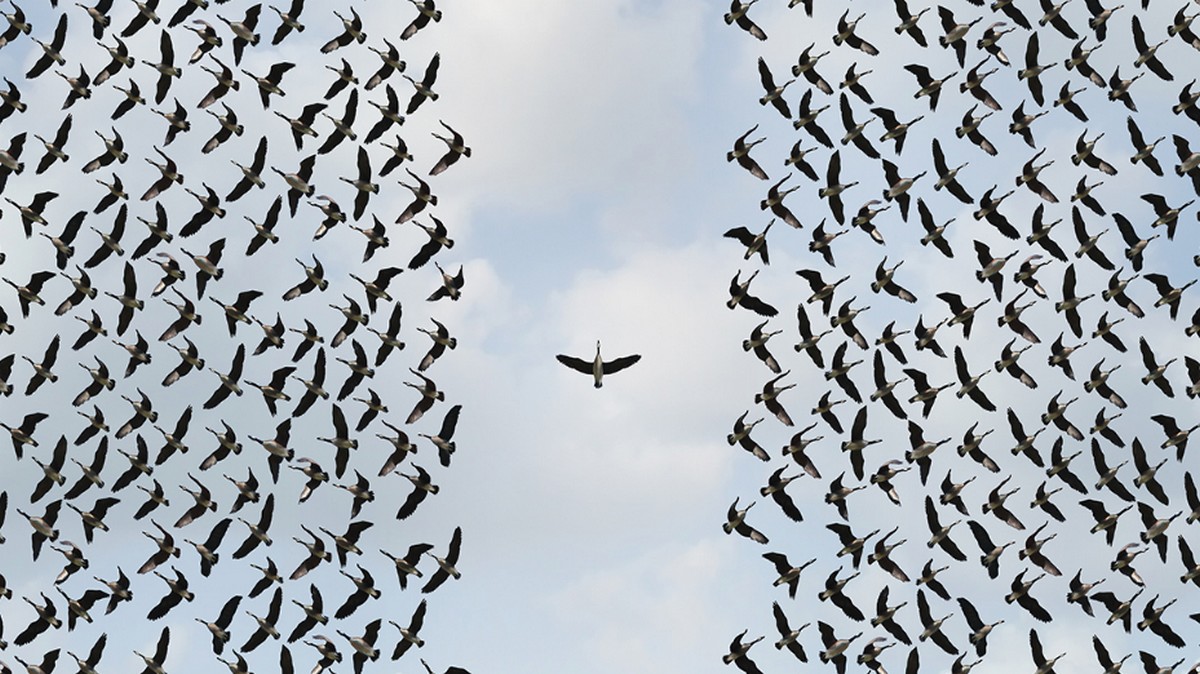 你的演算法是否捍衛了公平標準？