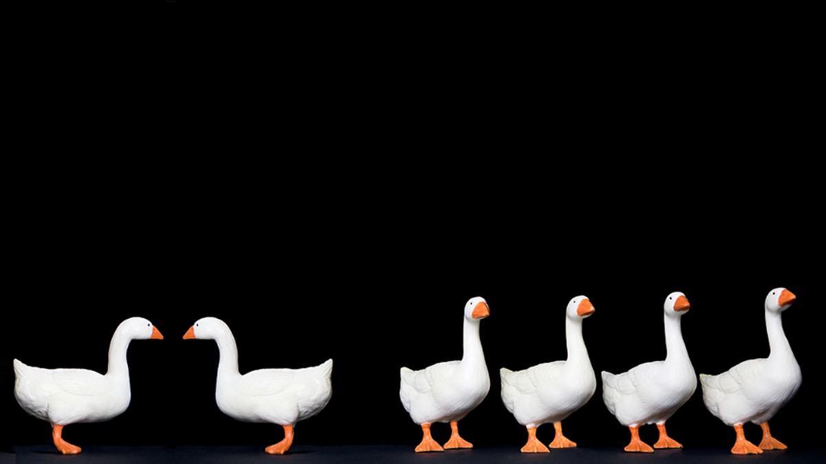 重要議題不能只在檯面下討論