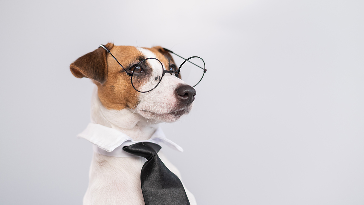 遵循資深編輯的 6 項準則，用圖表建立高效說服力