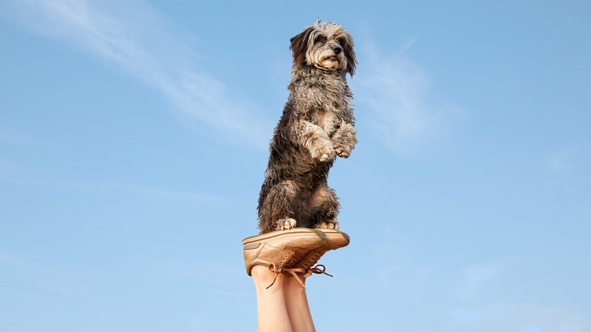 在VUCA的世界，「多面型」領導者才能脫穎而出