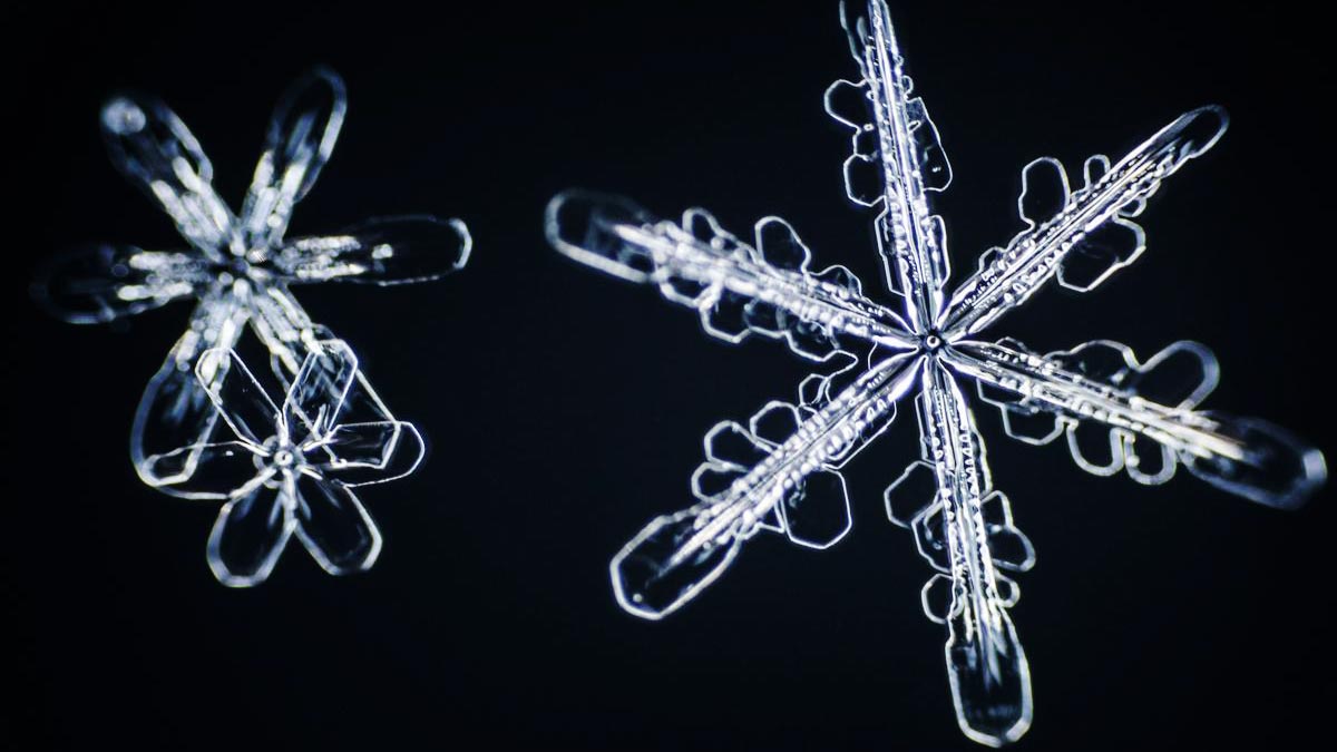 經理人vs.領導人