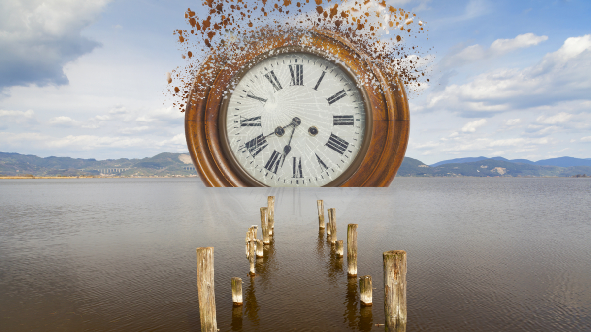 新的CTO角色：改革長