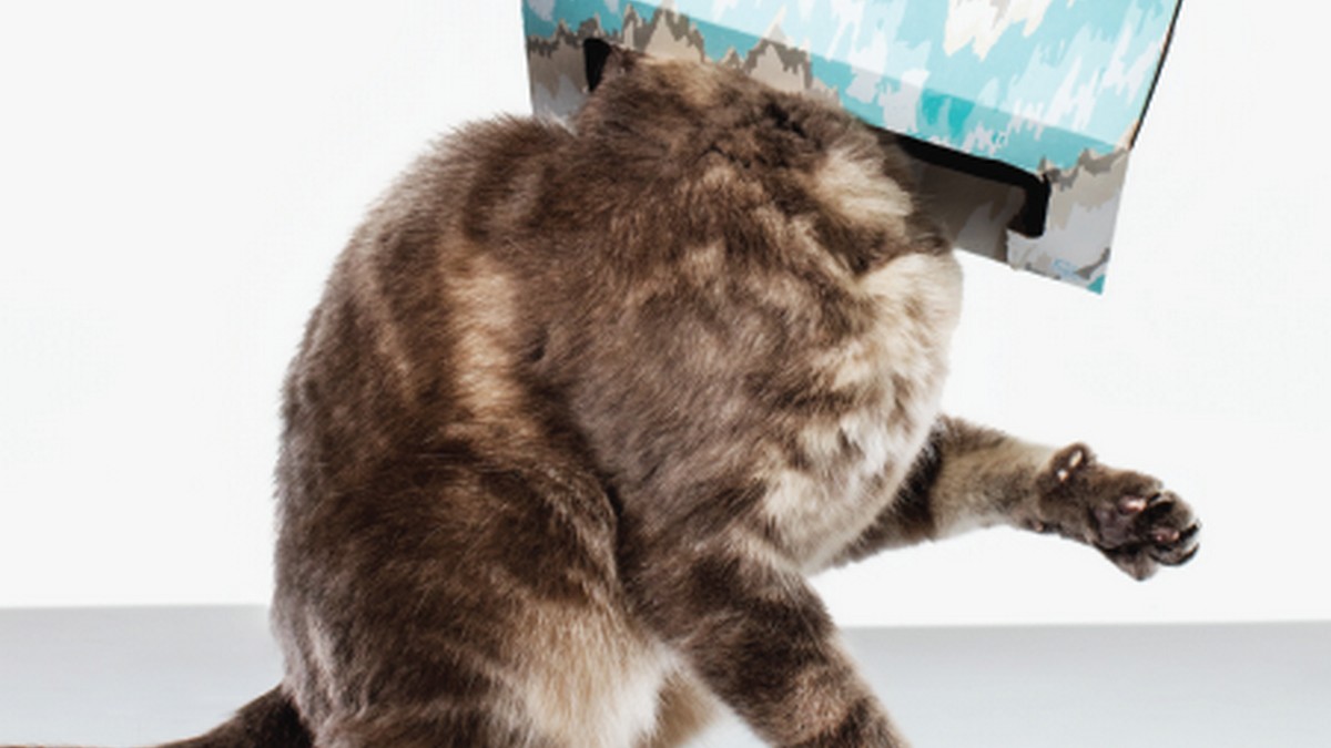 從好奇心到成長力