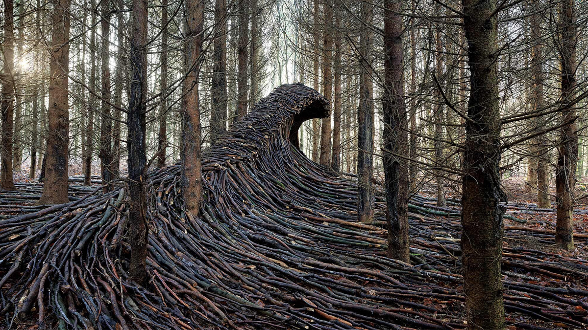 藝術家約克．葛來許（Joerg Glaescher）在他德國萊比錫住家附近的森林裡，蒐集枯木手工搭建成波浪狀的形體，從中品味大自然強烈的力量。