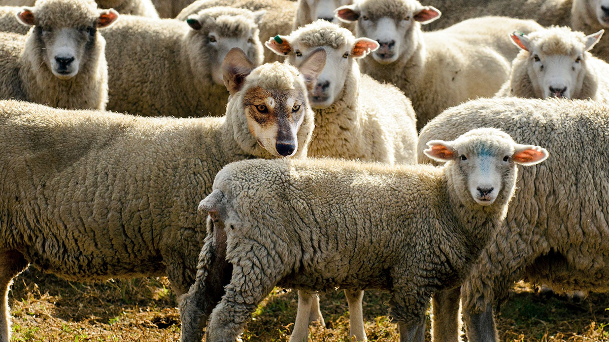 累死你的是有毒同事！小心職場上的「功勞小偷」