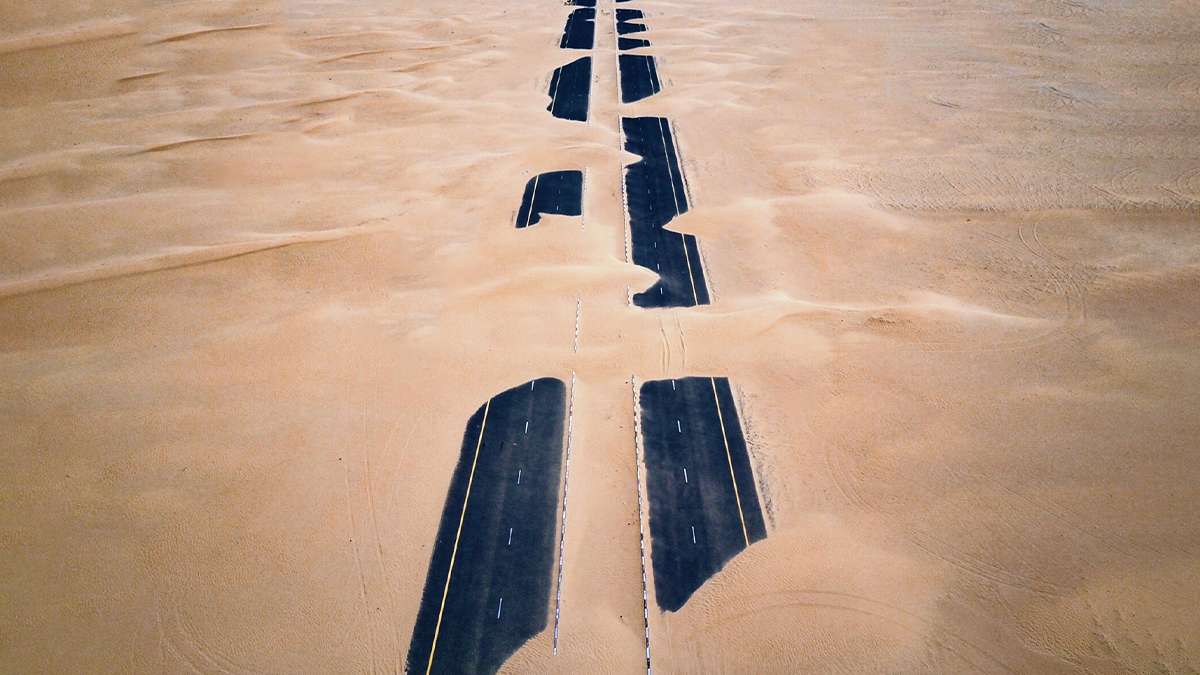 情勢不確定，決策也能很理性