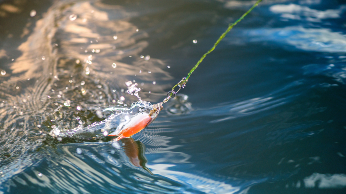 如何運用誘惑來強化你的意志力