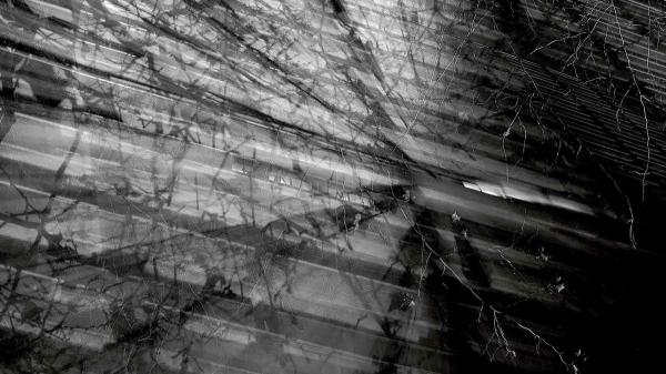 從產品到平台全攻略