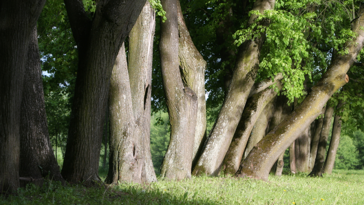 董事會如何創新