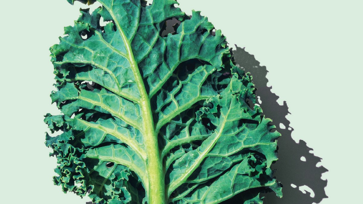 讓品牌成為全球健康問題的解方，以行銷力改善社會