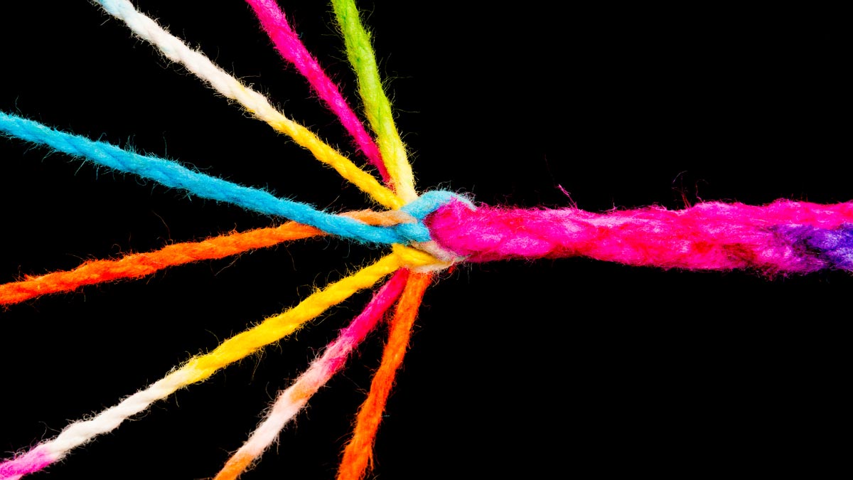 期待學習型組織的行政系統