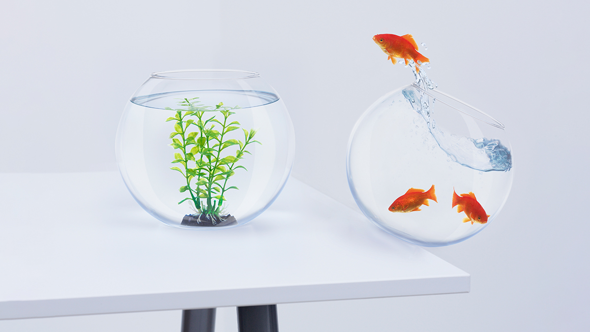 大環境動盪，我該不該換跑道？