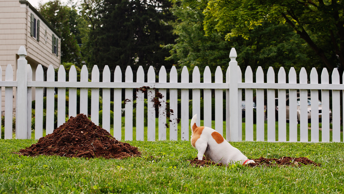 讓主管知道，是什麼原因激勵你每天來上班