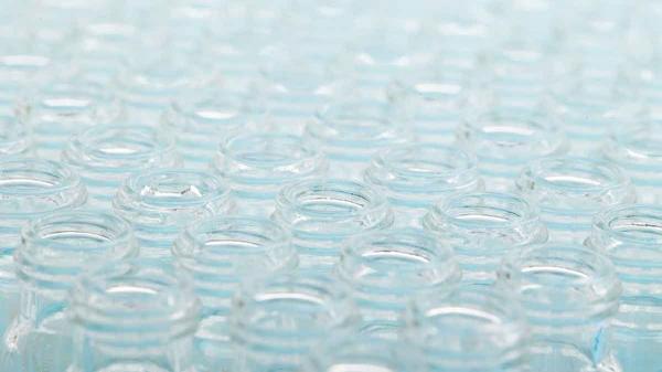 孤注一擲或兩邊押注？