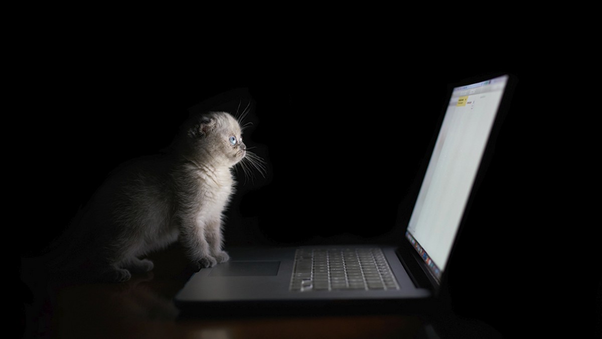 顧客意見調查不能取代實際交談