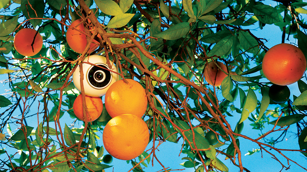 AI監管來了！三大挑戰勢不可擋，該如何應變？