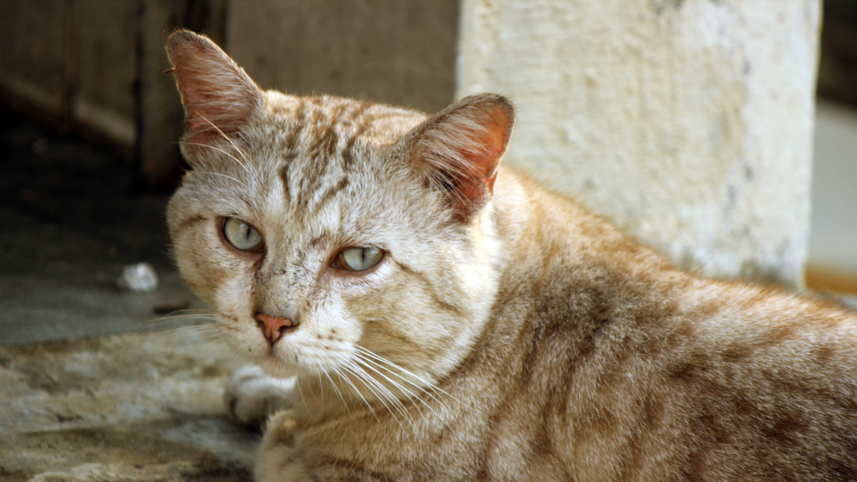 別製造出心存不滿的員工