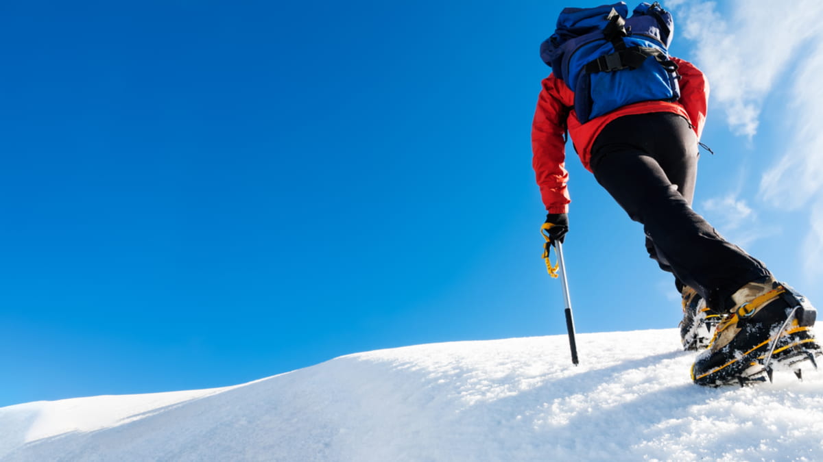 登上大位的最後一哩