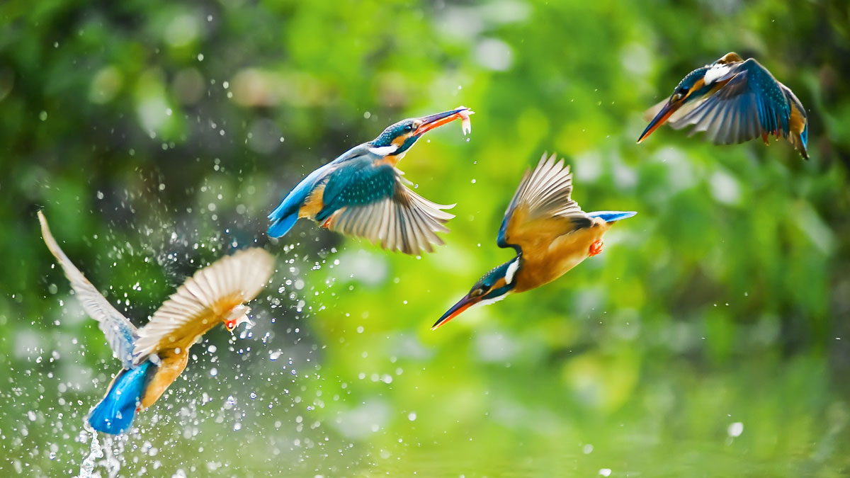 打造超強生產力的七大技能