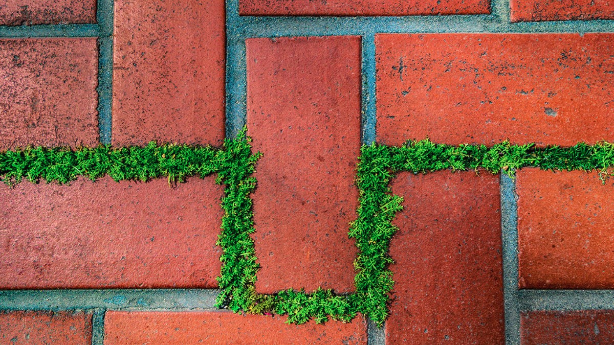 不在大城市，科技新創公司沒金援？