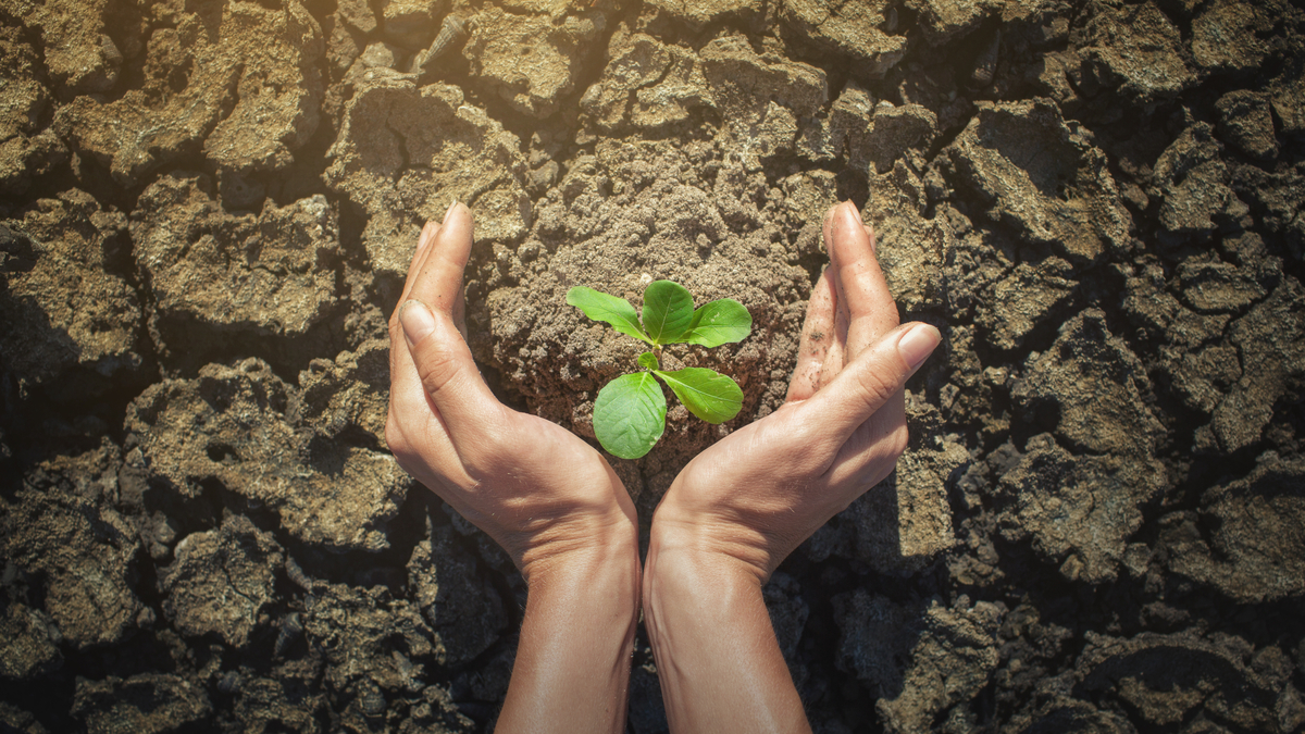 將環境還諸大地