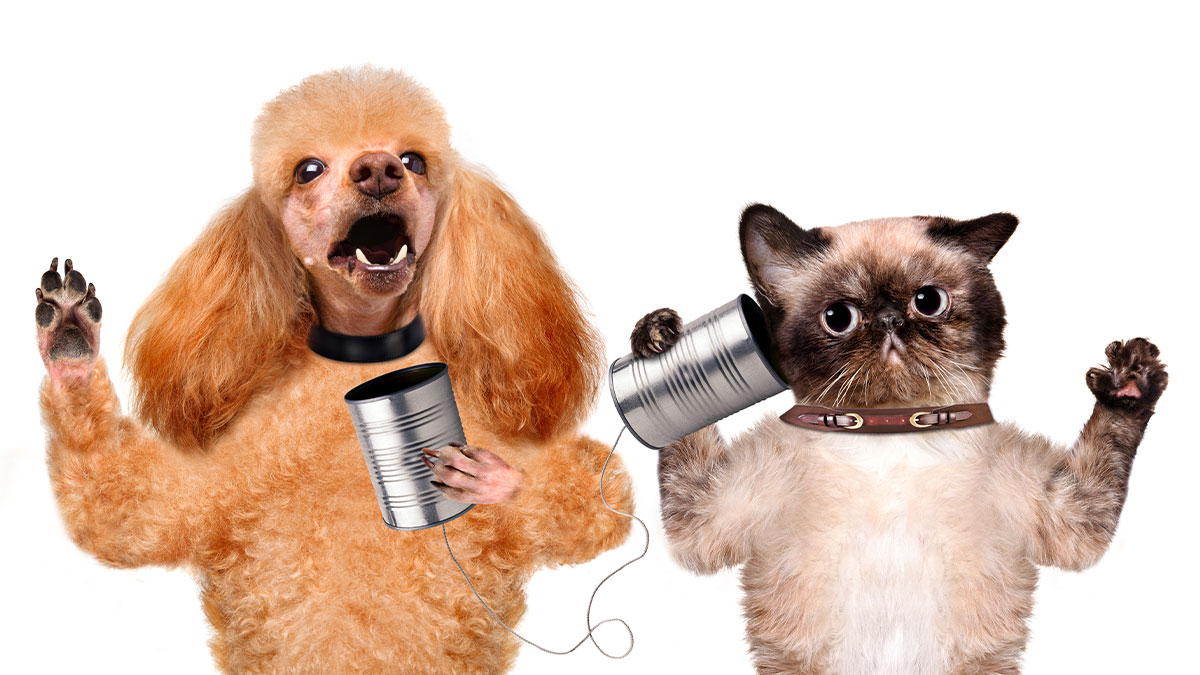 攸關談判成敗的情緒準備