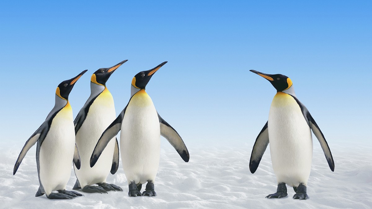 無篩選廣納家族成員，恐釀成事業災難...誰能加入家族事業？