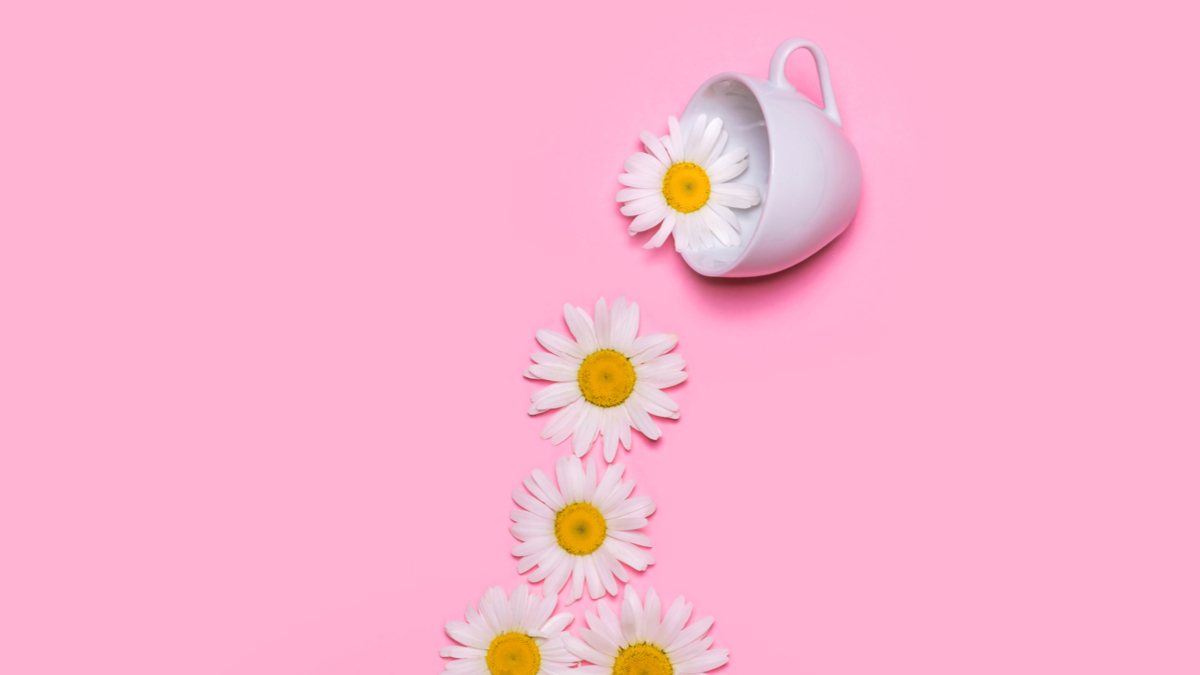 沒錯，公司應該酬謝影響力人士