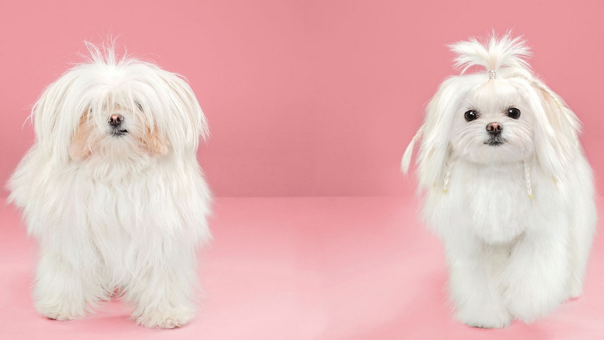 五大創新「硬道理」