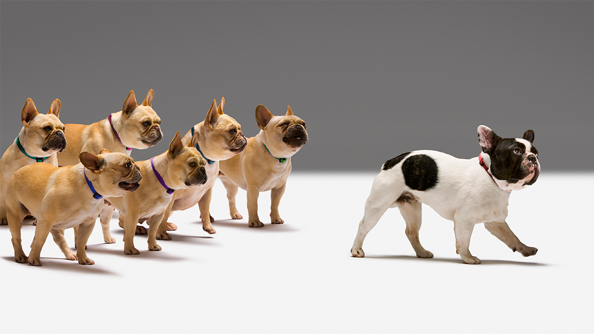 別再擔心別人怎麼看你