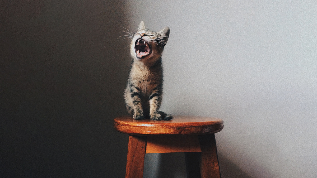 別再抱怨了！如何應付碎碎念不停的人？