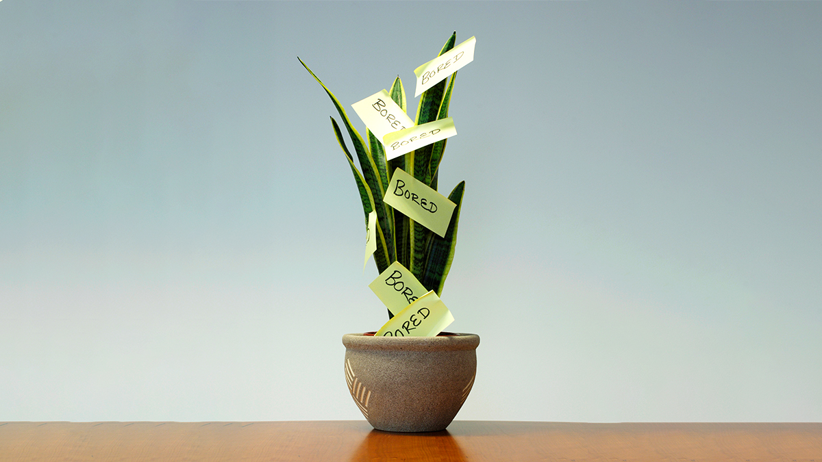 工作不忙時，該忙些什麼