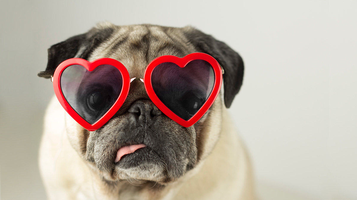 打敗AI的力量，「我好愛」才是高績效的關鍵字？