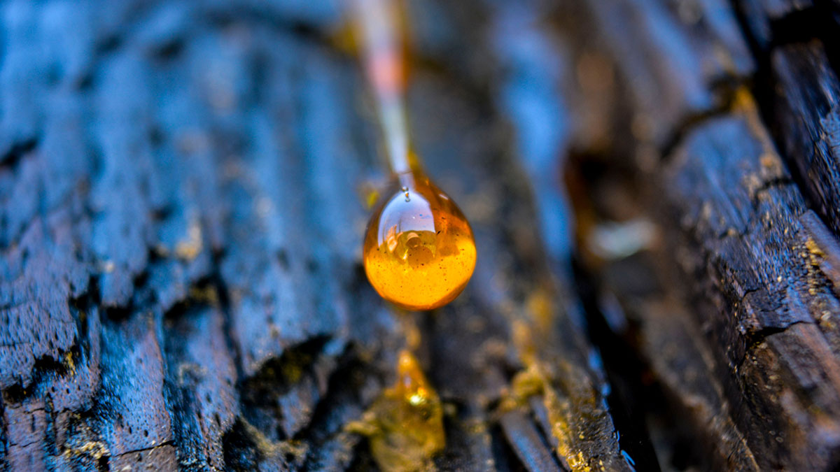 知行結合，悟出智慧