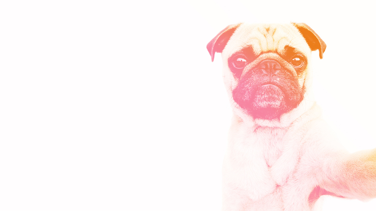 千禧世代究竟想從工作中獲得什麼？