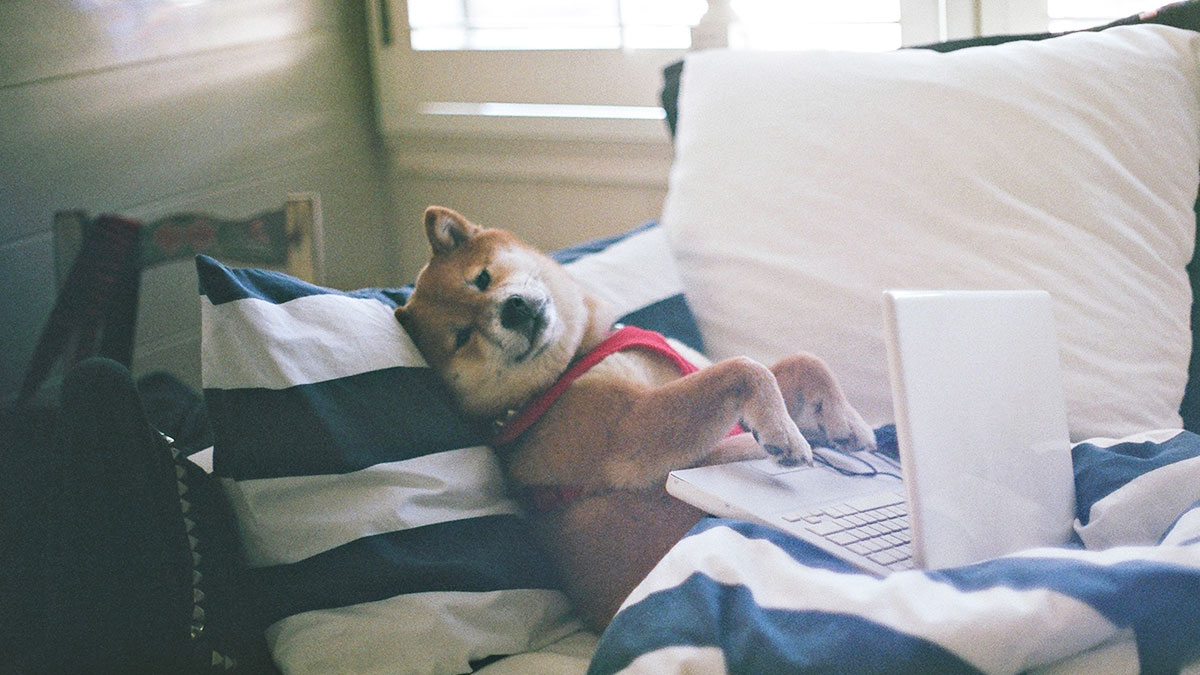 MBA學生別再找工作了，加入零工經濟吧！