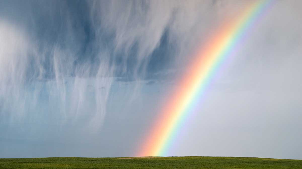 打造復原力，只需自問兩個簡單問題