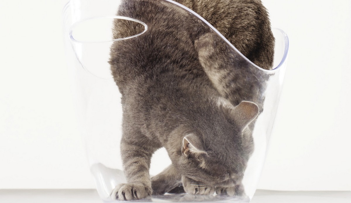 成為能力型好奇人才