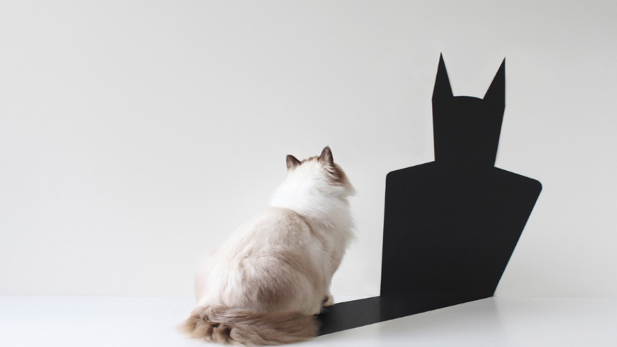 從定價讀懂人心