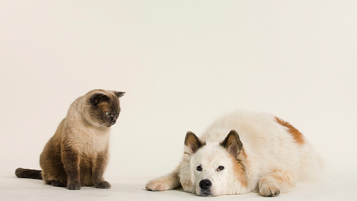 聽眾不愛你的簡報，怎麼辦？