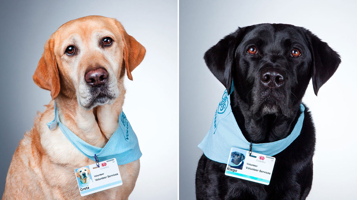 發揮同理心不等於掏空你的情緒